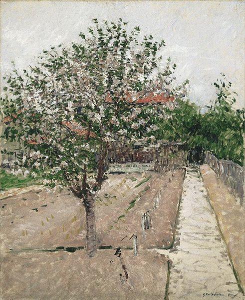 Gustave Caillebotte Apple Tree in Bloom Spain oil painting art